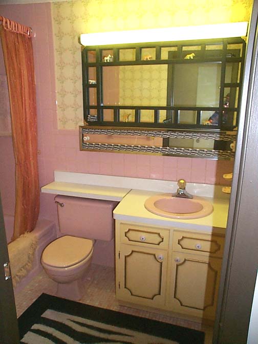 bathroom1h02042014.jpg