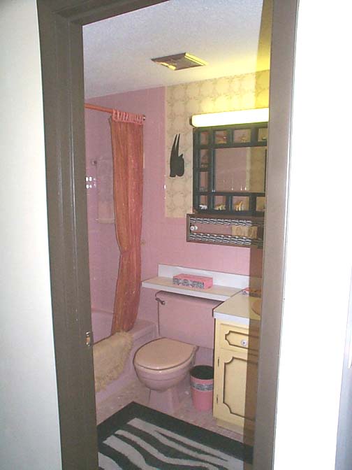 bathroom1j02182014.jpg